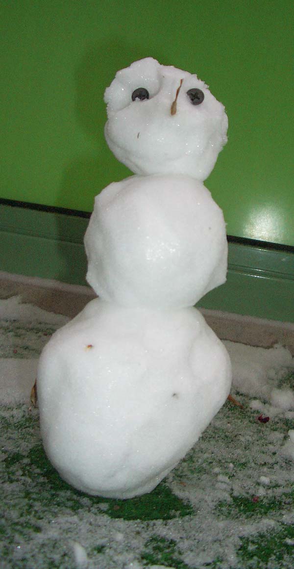 Schneemann Schneemann
