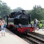 Rasender Roland - die Schmalspurbahn auf Rügen Rasender Roland - die Schmalspurbahn auf Rügen